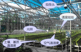 農業(yè)物聯(lián)網