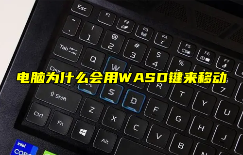 【科普視頻】電腦為什么會(huì)用WASD鍵來(lái)移動(dòng)？