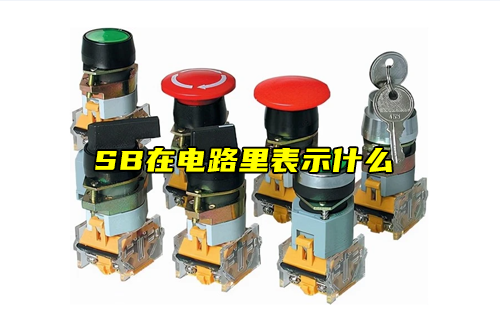 【科普視頻】SB在電路里表示什么？