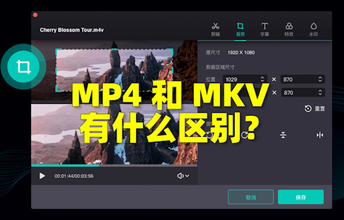 【科普視頻】MP4和MKV有什么區(qū)別？