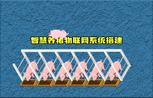 【科普視頻】智慧養(yǎng)豬物聯(lián)網系統(tǒng)如何搭建？有什么功能？