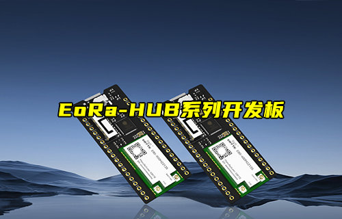 EoRa-HUB系列無線模塊開發(fā)板功能簡(jiǎn)介