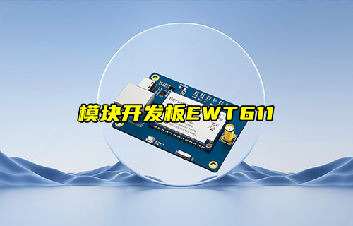 遠(yuǎn)距離圖傳數(shù)傳模塊開(kāi)發(fā)板EWT611-900NW20S簡(jiǎn)介