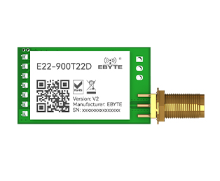 E22-900T22D