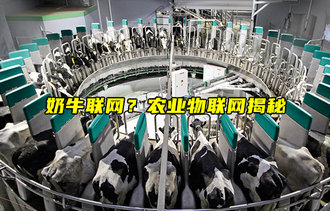 奶牛聯(lián)網(wǎng)？農(nóng)業(yè)物聯(lián)網(wǎng)揭秘